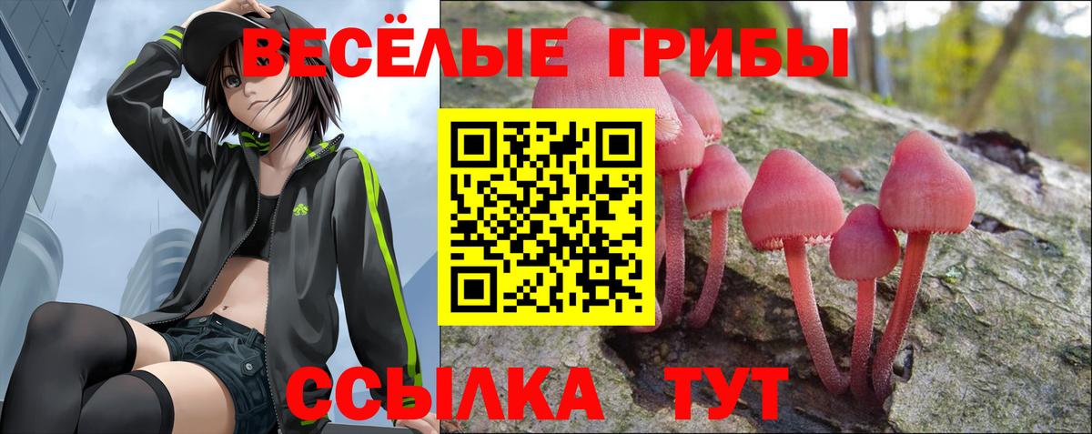Псилоцибиновые грибы мухоморы Мегион